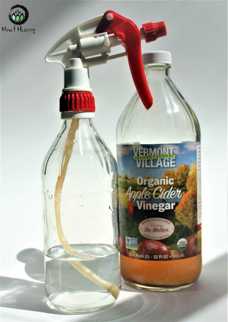 DIY glass spray bottle with apple cider vinegar bottle.