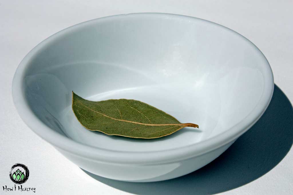 A single bay leaf in a small white dish.